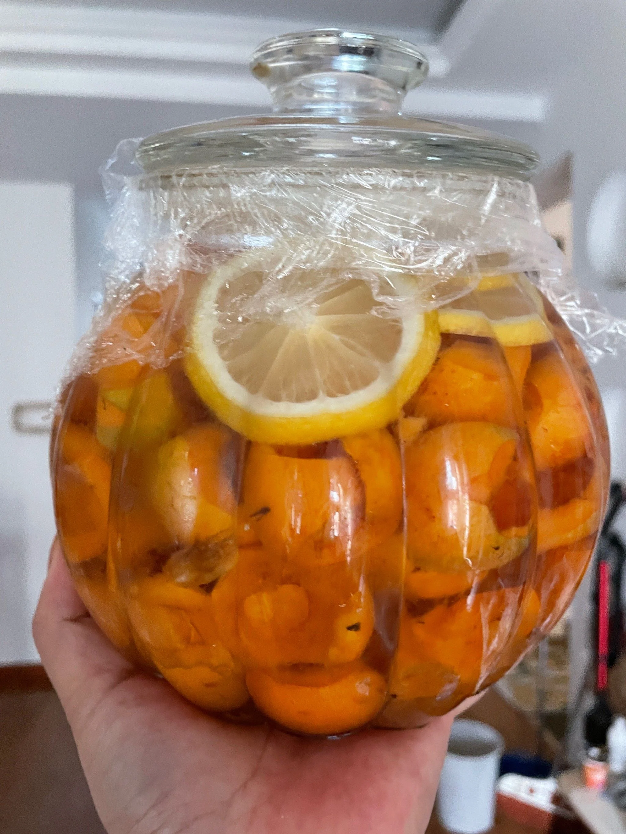 新鲜枇杷果与正在发酵的枇杷酒特写，展示家庭酿造枇杷酒的过程_1