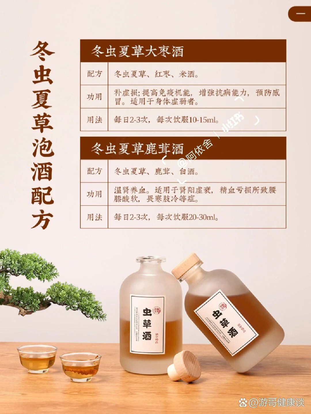 冬虫夏草与枸杞、人参在玻璃泡酒罐中浸泡的金黄色药酒特写_1