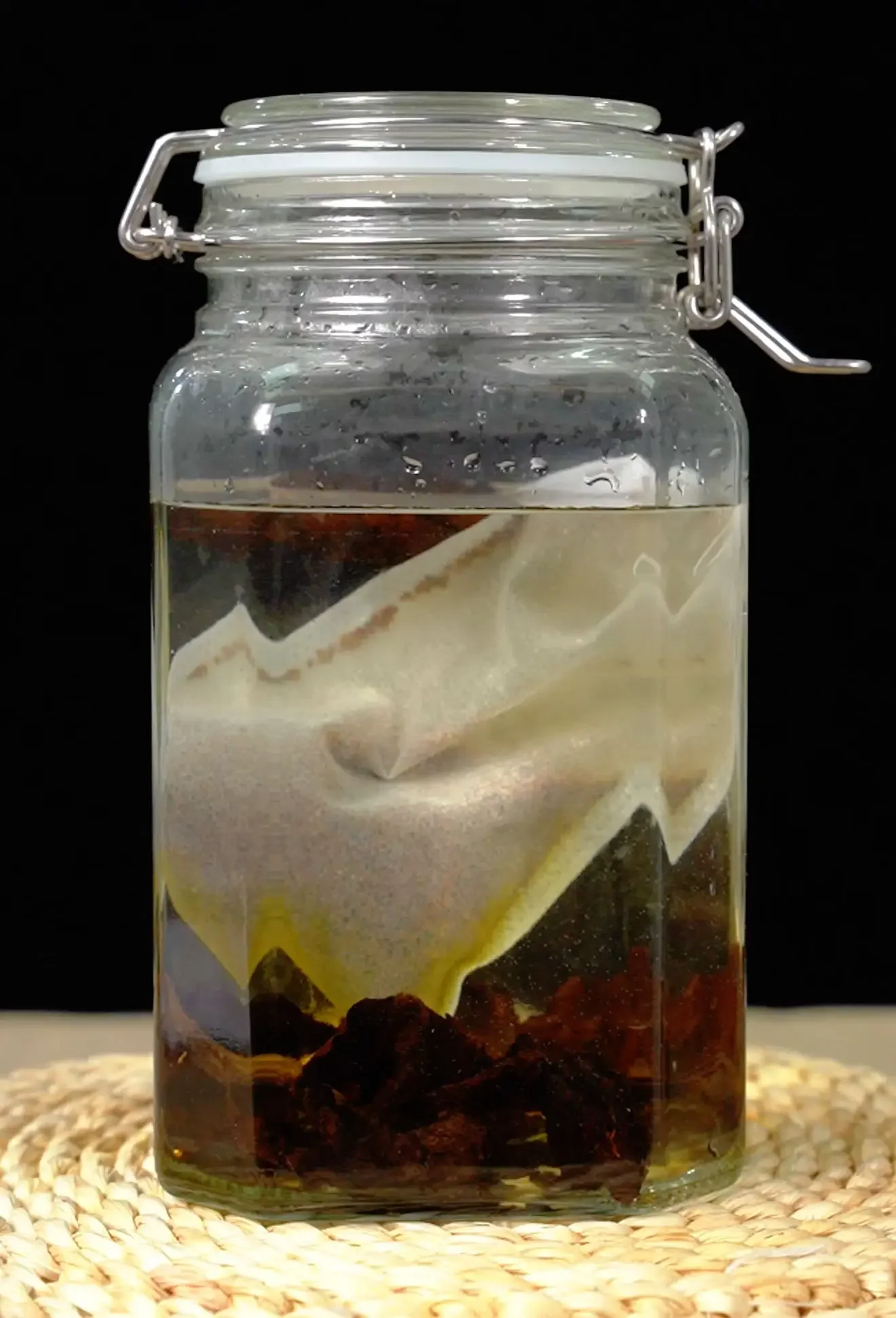 灵芝泡酒过程展示：透明玻璃罐中灵芝在酒液中浸泡，旁边有电子秤和纯粮白酒，体现专业的家庭酿酒场景。_1