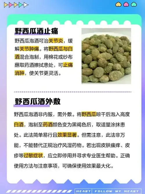 透明玻璃罐中浸泡的野西瓜泡酒，旁边散落着新鲜野西瓜和酿酒工具，展示家庭酿造场景。_1