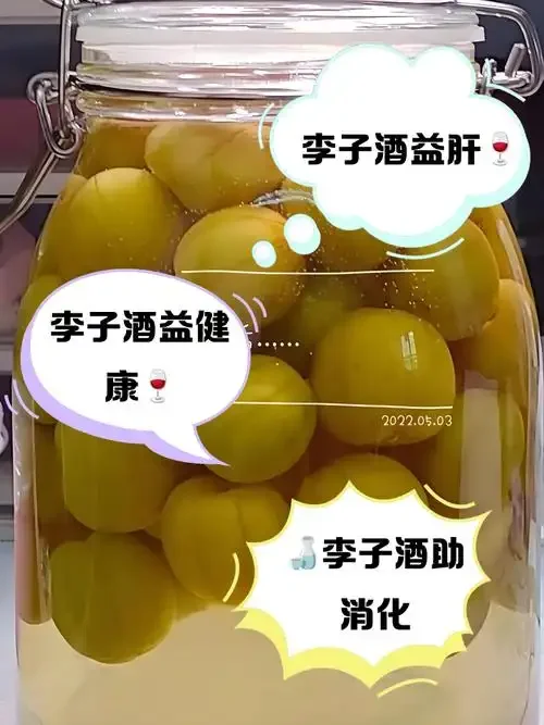 家庭自酿李子酒成品展示：透明玻璃罐中盛满红色李子酒，果肉饱满可见，伴有新鲜李子和冰糖。_1