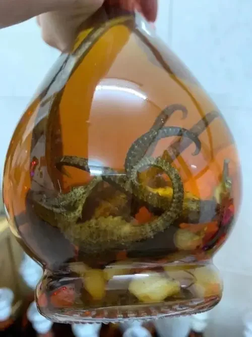 泡酒玻璃罐特写，罐内装有金黄色白酒和两只清晰可见的海马，旁边竹盘上放着用于泡酒的20克干海马。_1