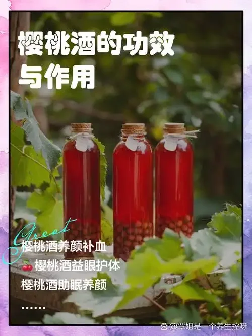 家庭樱桃酿酒过程实拍：新鲜樱桃与正在发酵的樱桃酒罐_1