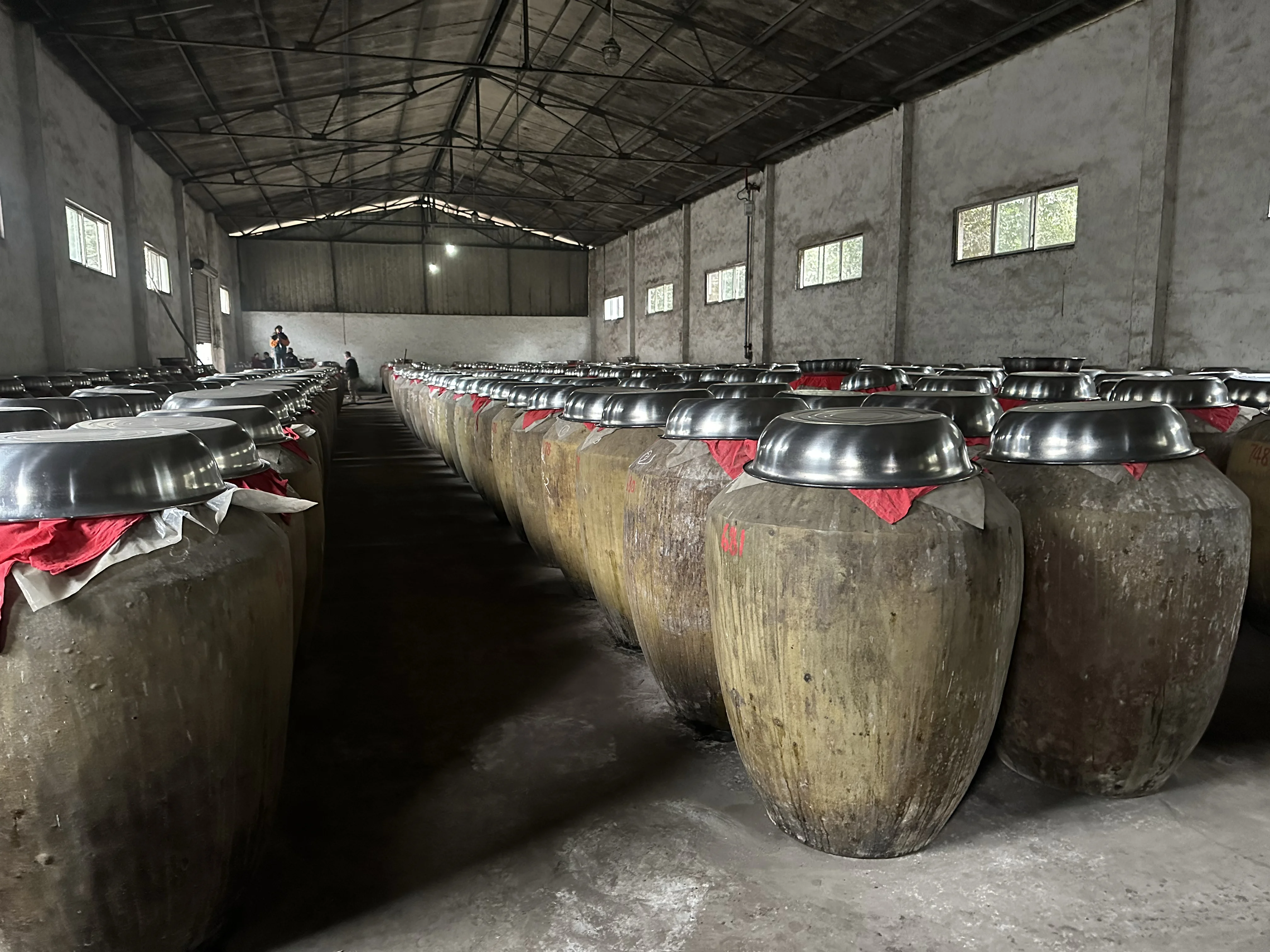 贵州传统酿酒师在作坊内进行人工翻糟，展示古法固态堆积发酵的关键工序_1