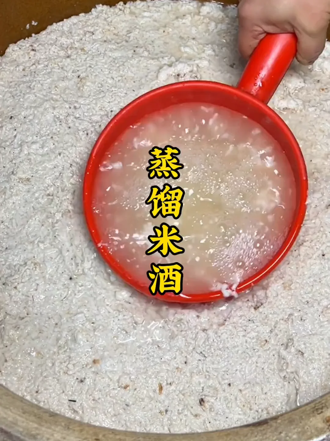 酿酒师正在对比生米与蒸好的米饭，用于大米酿酒过程_1