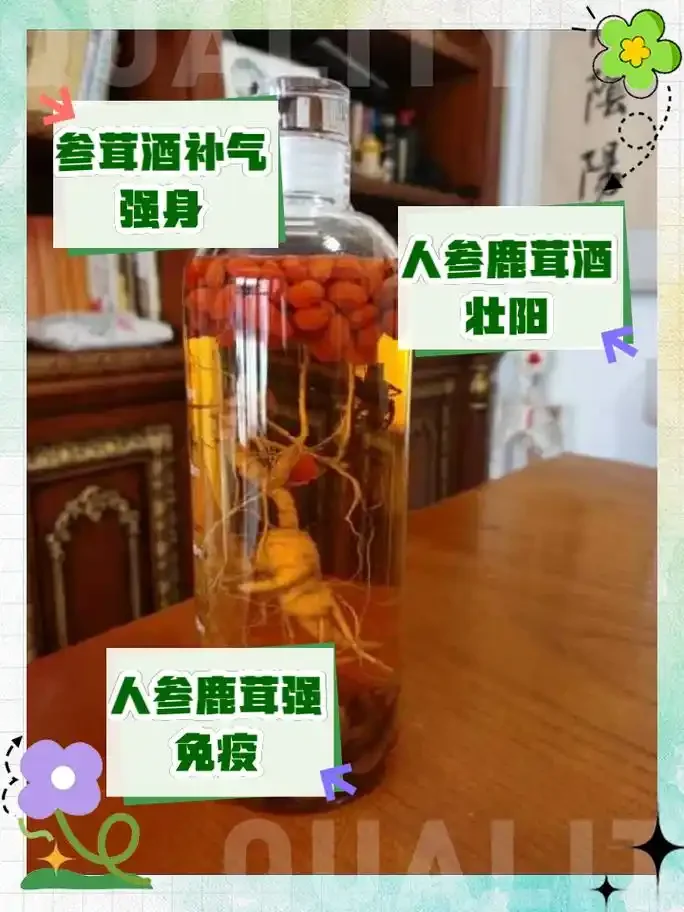 透明玻璃酒坛中浸泡的完整人参，根须分明，酒液呈琥珀色，背景为古朴木桌_1