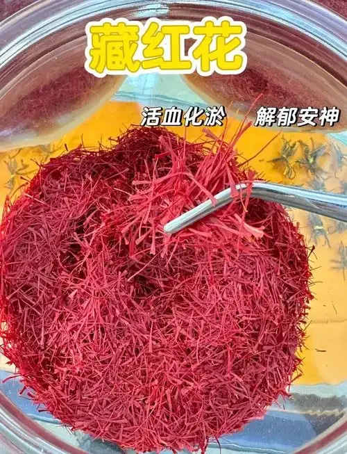 透明玻璃罐中正在浸泡的藏红花养生酒，金黄色藏红花丝、红色枸杞与红枣清晰可见，展示传统家庭泡酒过程。_1