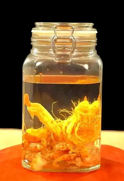 工作台上展示的黄精切片与完整黄精对比，以及背景中正在浸泡的黄精酒_1