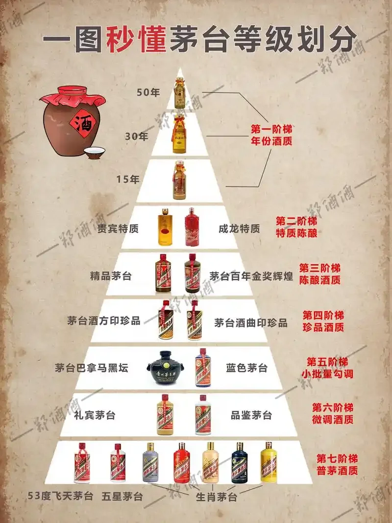 中国白酒香型分类信息图，展示浓香、酱香、清香等主要香型的工艺与风味关联_1