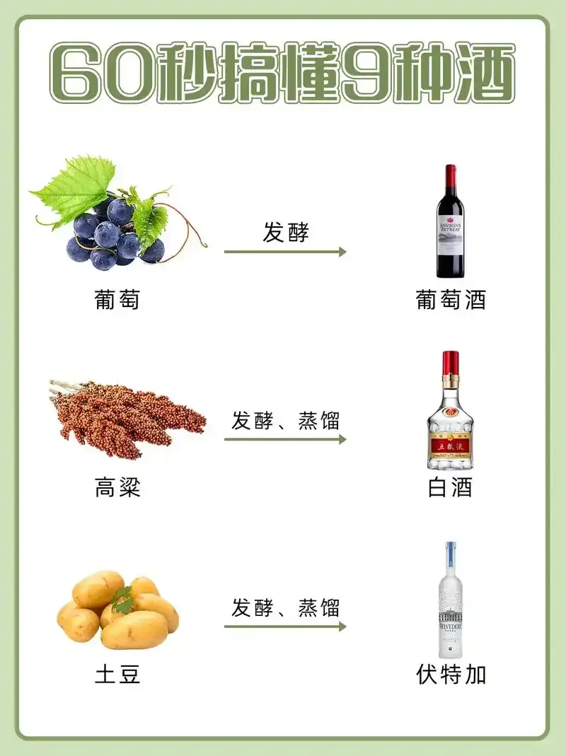 家庭自酿白酒发酵过程实景图：玻璃发酵罐、高粱、酒曲和温度计_1