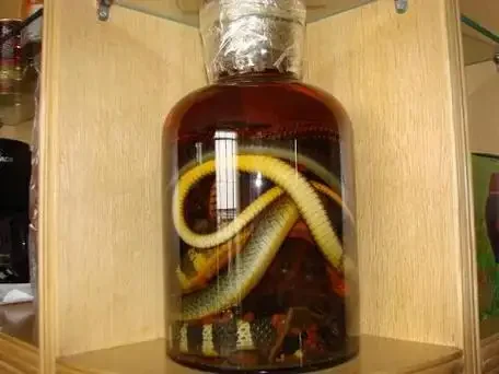 蛇胆泡酒透明玻璃罐展示：蛇胆悬浮在酒液中，旁边配有枸杞等中药材和记录配方的笔记本。_1