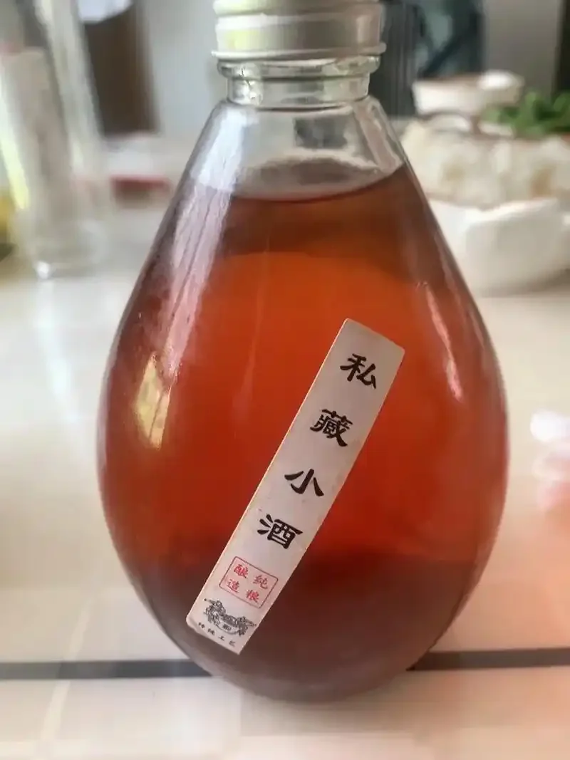 家庭自酿紫叶李酒过程展示：玻璃罐中紫红色果肉与酒液正在发酵，旁边有新鲜紫叶李果实、冰糖和酒提。_1