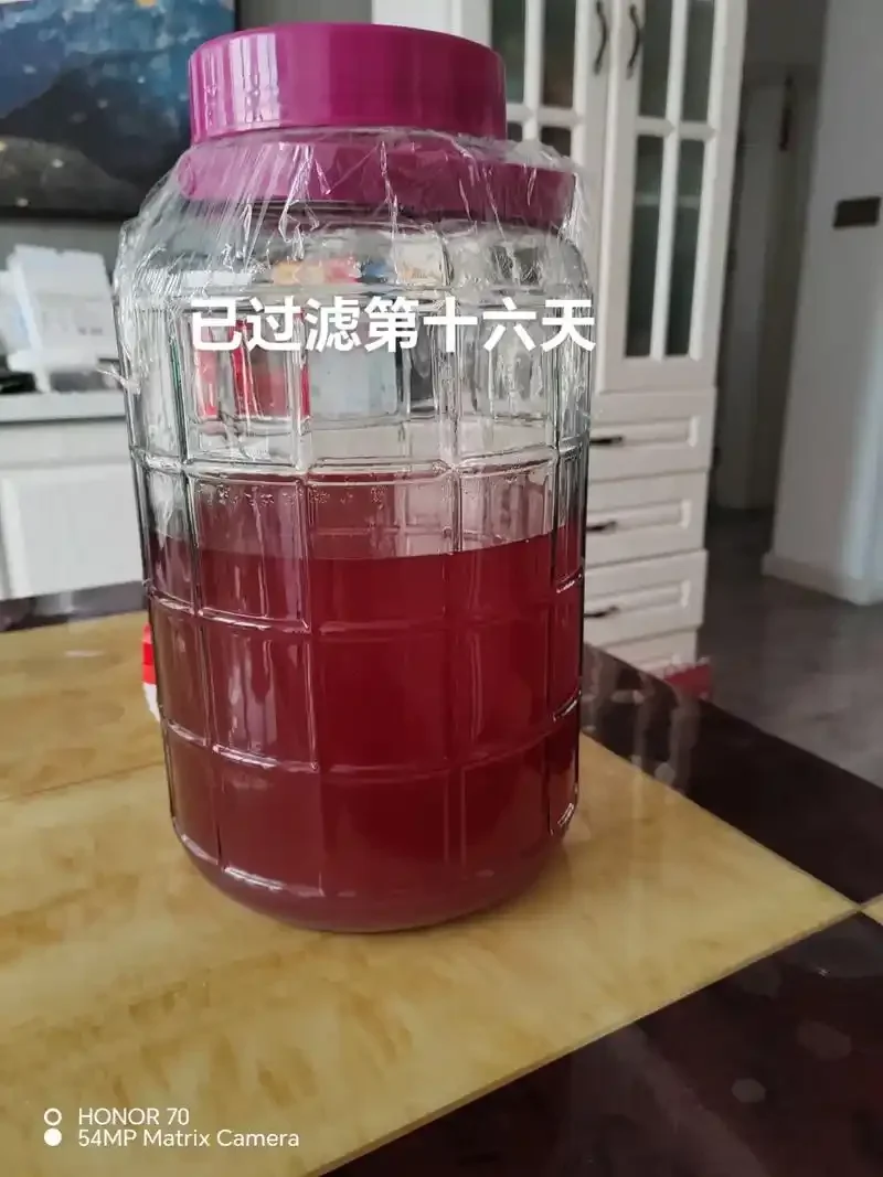 酿酒师正在检查玻璃罐中葡萄酒的发酵状态，通过观察气泡和测量工具来判断发酵进程。_1