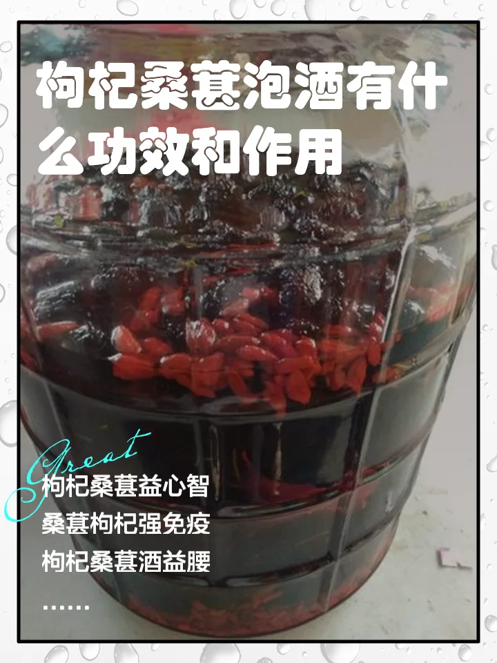 桑葚、枸杞、苁蓉、锁阳四种药材在透明玻璃罐中浸泡的养生酒特写_1