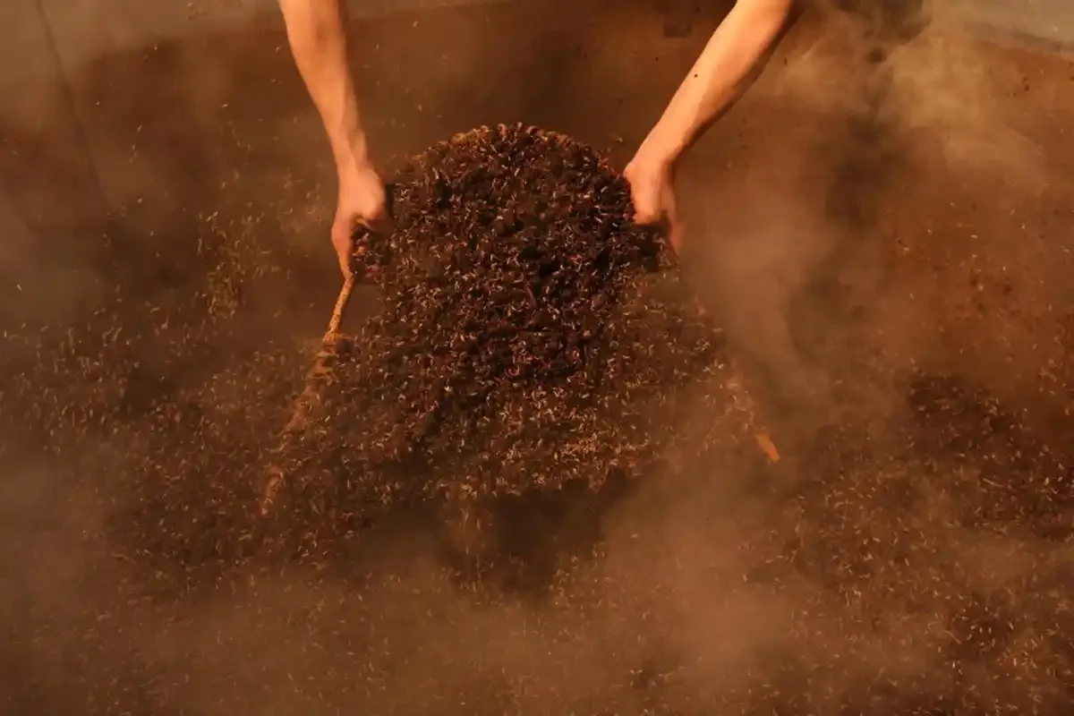 酿酒工坊内传统固态法地缸与现代不锈钢设备对比，老师傅查看发酵情况_1