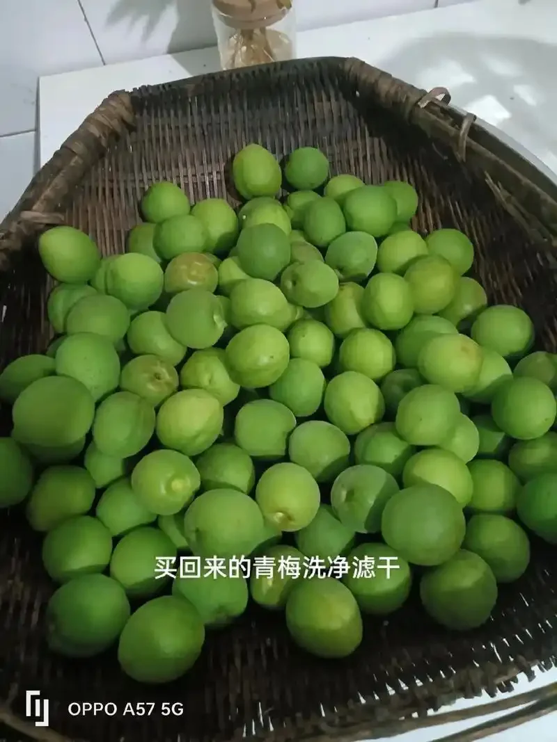 家庭自制青果泡酒示例：装有琥珀色酒液和翠绿青果的玻璃罐，旁边摆放着新鲜青果、冰糖和纯粮白酒等原料。_1