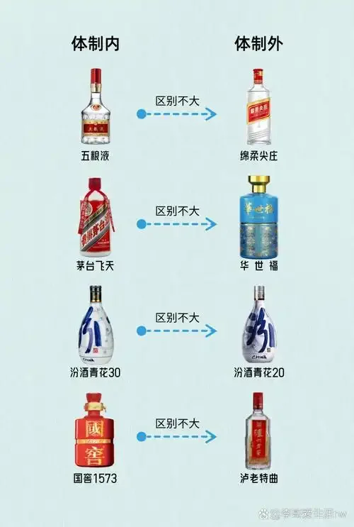 白酒品鉴场景：专业杯具中的优质白酒，光线柔和，背景有酿酒古籍，展现专业品鉴氛围_1