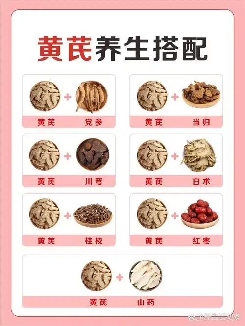 黄芪酒浸泡过程展示：玻璃瓶中琥珀色酒液与黄芪片，旁边散落着黄芪原料和酿酒工具。_1