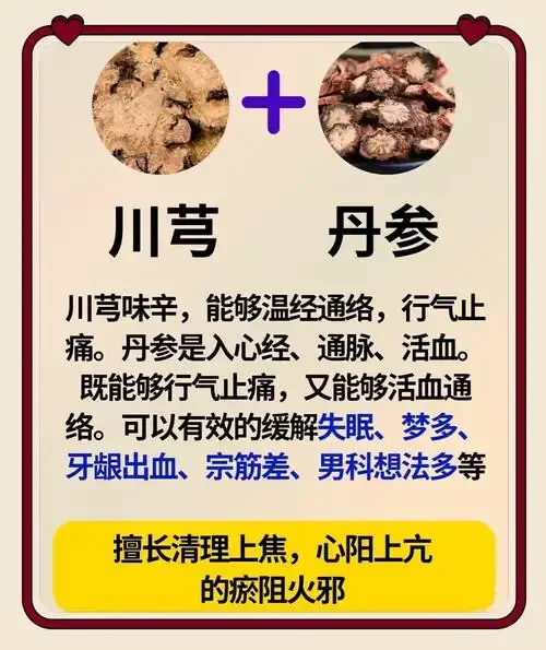 川芎白芷泡酒的玻璃罐静物图，展示药材与酒的融合状态。_1