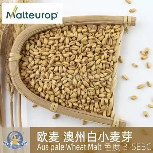 啤酒酿造四大基础原料：麦芽、啤酒花、酵母和水的实物展示图_1