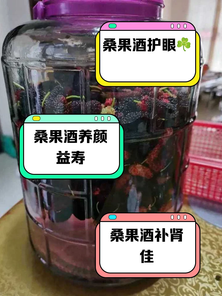 家庭自酿桑葚酒初期发酵状态，紫红色果肉与冰糖混合，产生细密气泡。_1