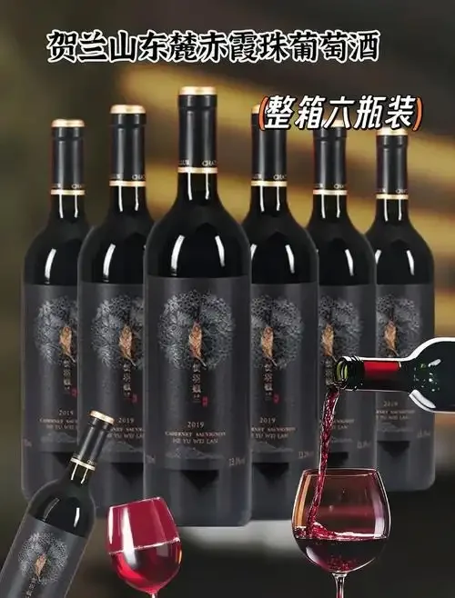 家庭自酿葡萄酒过程：玻璃罐中发酵的葡萄醪与新鲜葡萄、工具_1