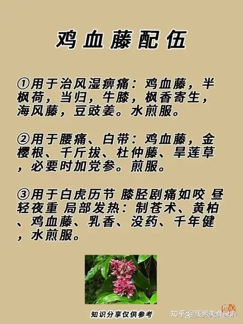 鸡血藤切片在琥珀色酒液中浸泡的古朴酒坛特写，展示家庭自制药酒的场景。_1