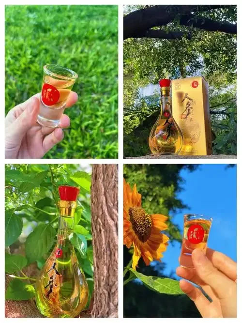 一瓶琥珀色的人参酒特写，瓶中人参清晰可见，旁边有陶瓷小酒杯，背景有红枣枸杞等配料。_1