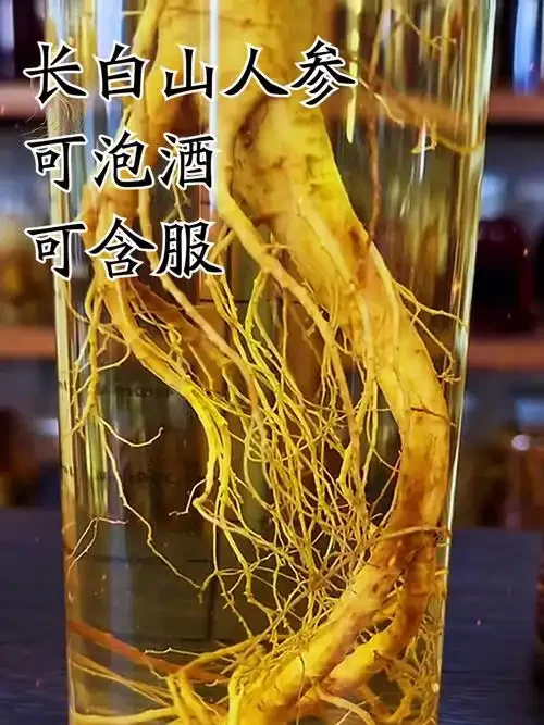 人参、枸杞等药材在琥珀色酒液中清晰可见的传统养生泡酒瓶特写_1