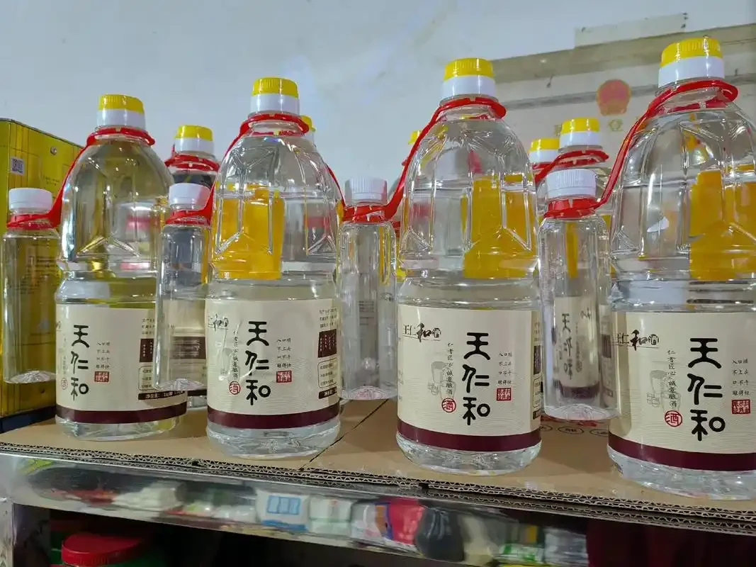 家庭自酿粮食酒工作台：透明发酵罐中的玉米醪液，旁边散落着玉米粒、秤、写有成本明细的笔记本和木勺_1