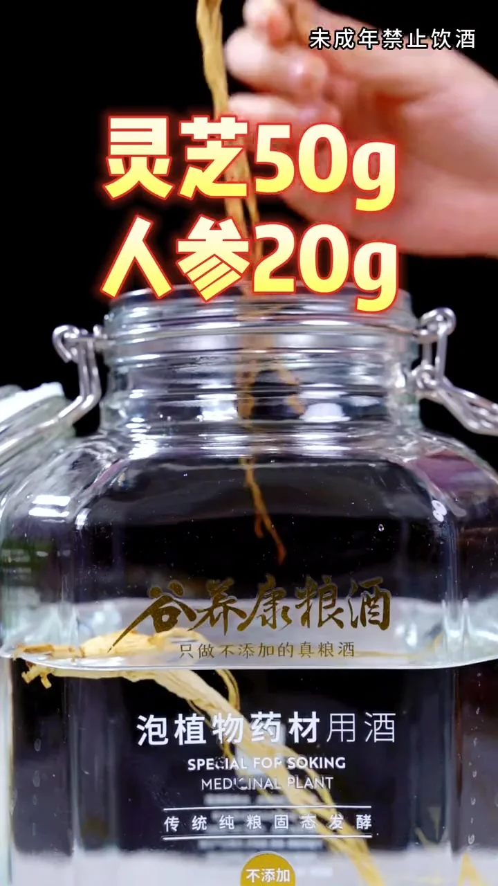 一罐正在泡制中的人参灵芝养生酒，玻璃罐中可见完整灵芝、人参切片、枸杞和红枣，酒液清澈。_1