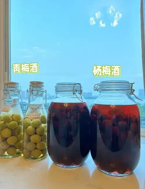一瓶正在浸泡中的自制青梅酒，青梅饱满，酒色诱人，旁边是新鲜的青梅和冰糖，整体呈现家庭酿造的温馨感。_1
