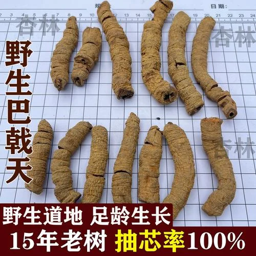 巴戟天和杜仲泡在透明玻璃酒罐中的特写图片，展示琥珀色药酒与药材的细节_1