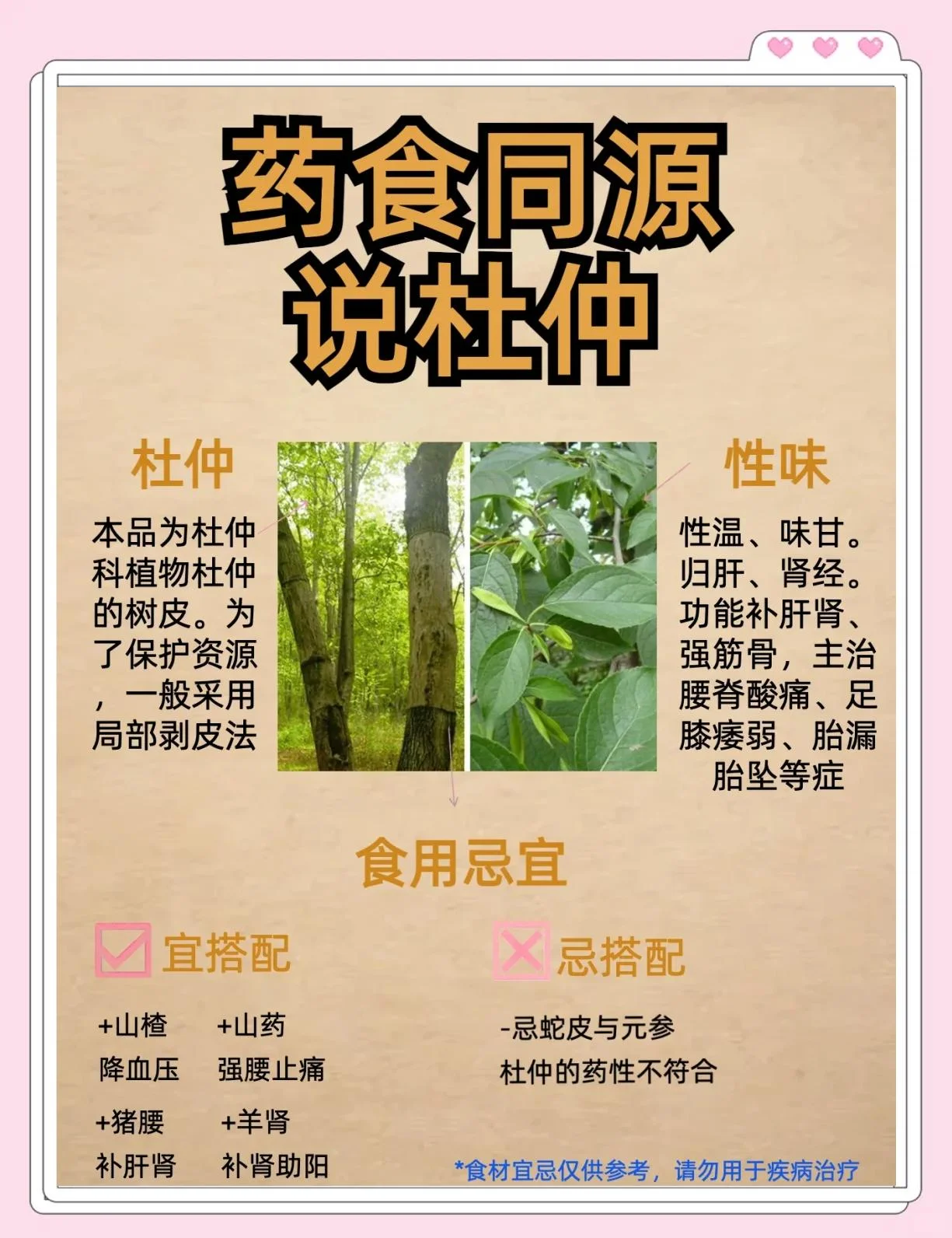 天麻杜仲泡酒实物展示：透明玻璃罐中琥珀色酒液浸泡着天麻片和杜仲皮_1