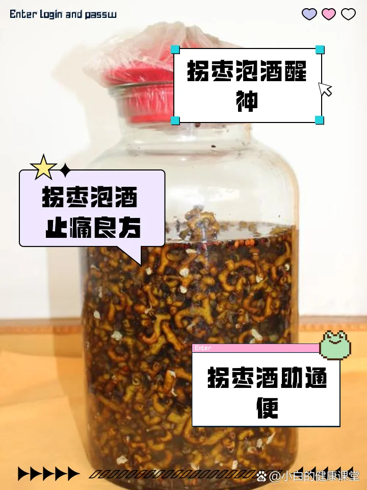 酿酒师展示拐枣泡酒的黄金比例与成品效果图_1