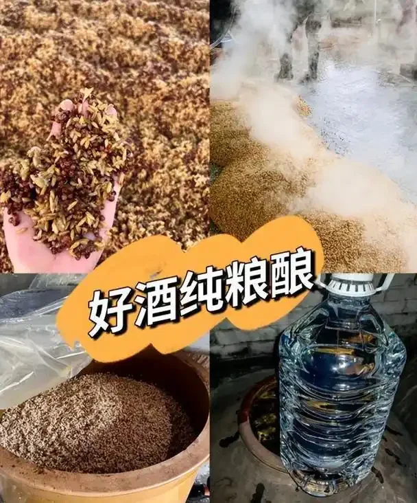 酿酒师手把手教学：通过观察酒花和粮食原料，直观鉴别纯粮食酒的真伪。_1