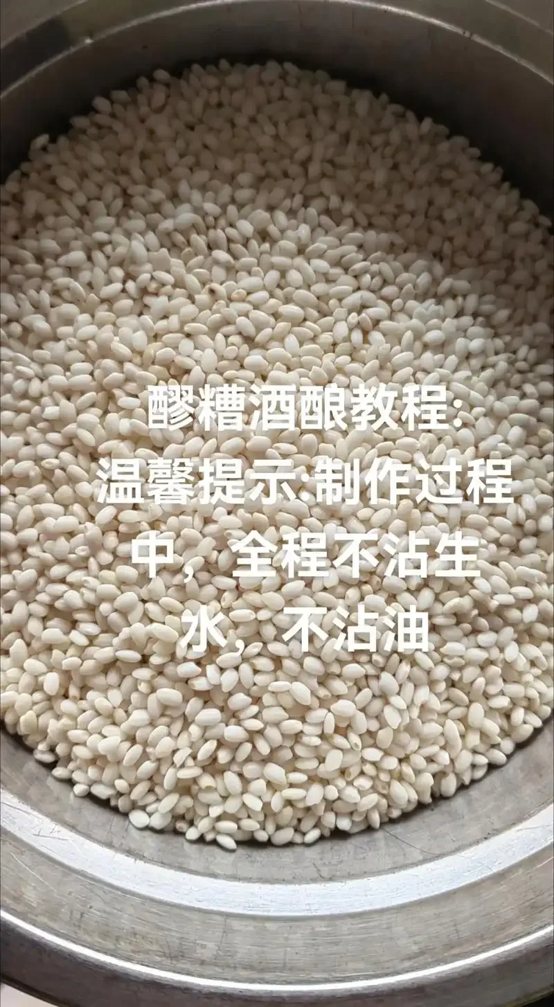 家庭自制米酒发酵过程特写，展示晶莹的糯米与清澈酒液。_1