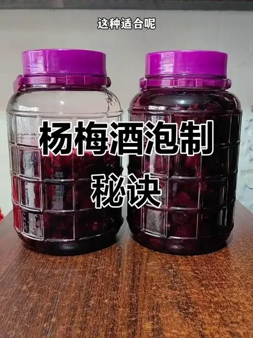 杨梅枸杞泡酒所需材料与泡制过程展示：新鲜杨梅、干枸杞、冰糖、玻璃罐及已泡好的酒液。_1