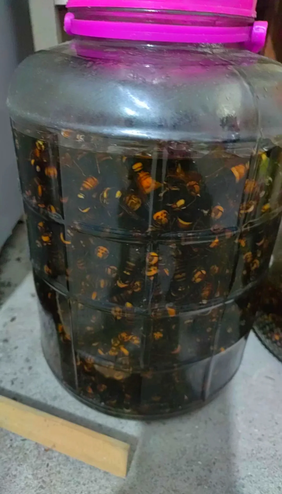 陶瓷酒坛与干燥蜂巢的特写照片，用于蜂窝泡酒制作展示_1