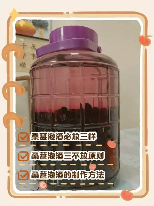 干净工作台上摆放的玻璃发酵罐、清洗后的桑葚果及消毒工具，用于演示桑葚酒的卫生准备步骤。_1