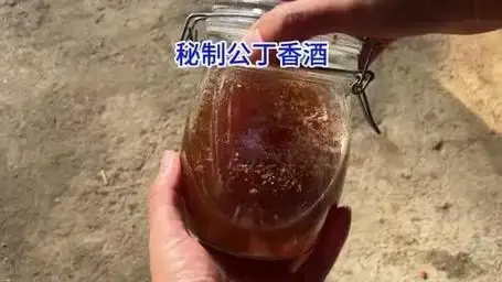 自制丁香药酒成品特写，旁边搭配丁香、冰糖和窝料，用于钓鱼诱食_1