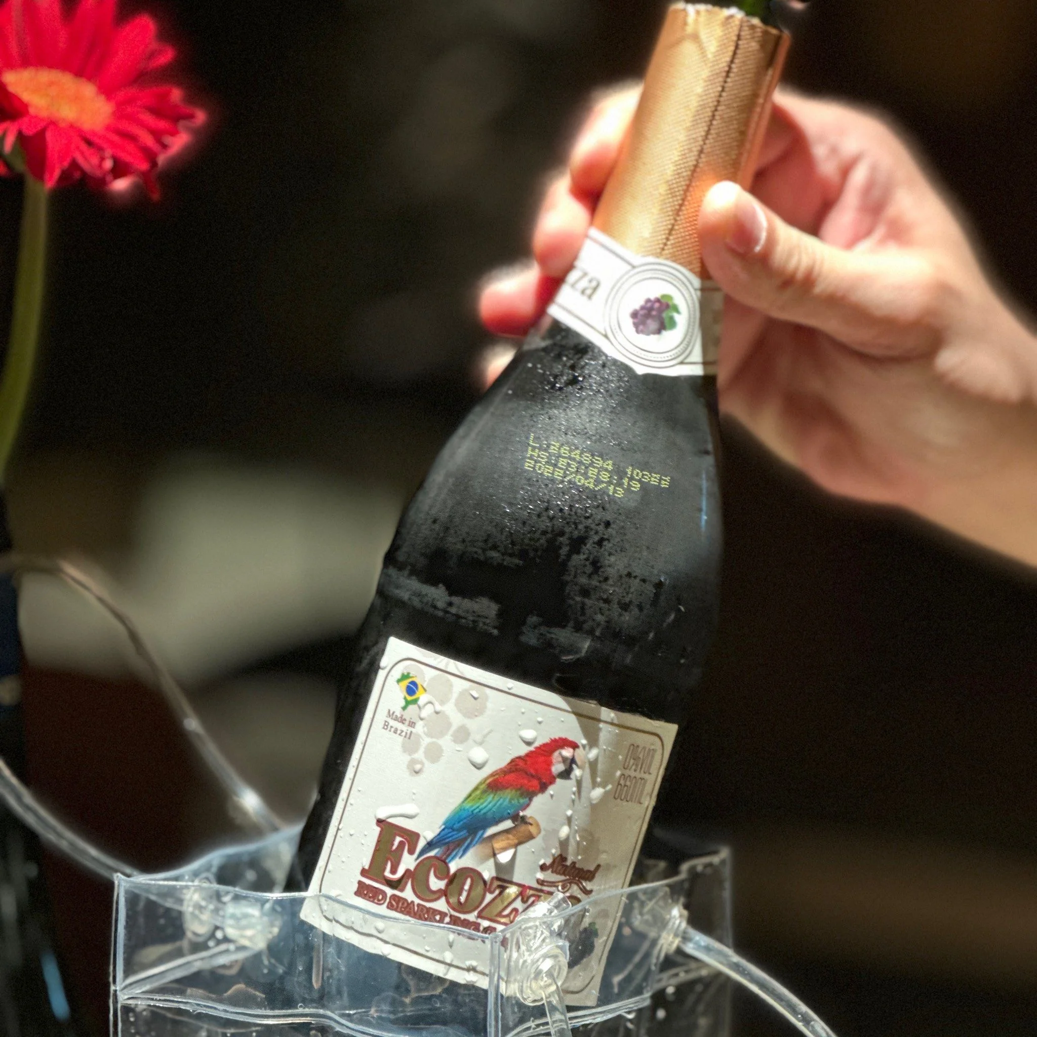 帕罗马红酒家庭酿造工作台，展示葡萄、发酵桶和酿酒工具_1