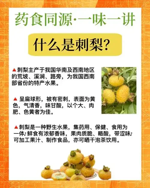 正在浸泡中的金黄色刺梨泡酒特写，旁边放着新鲜刺梨和白酒瓶_1