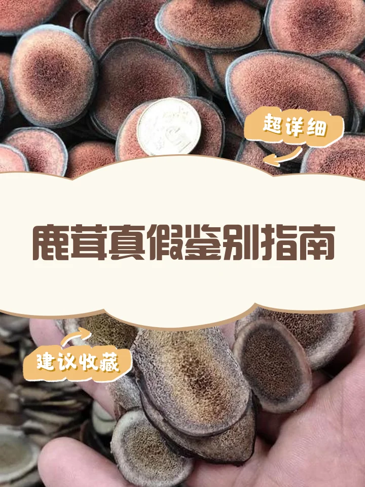 对比展示整根鹿茸泡酒与切段鹿茸泡酒的实物效果图_1