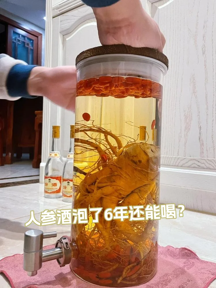 人参枸杞鹿茸等中药材在玻璃罐中泡酒的详细特写，展示经典补肾壮阳药酒配方_1