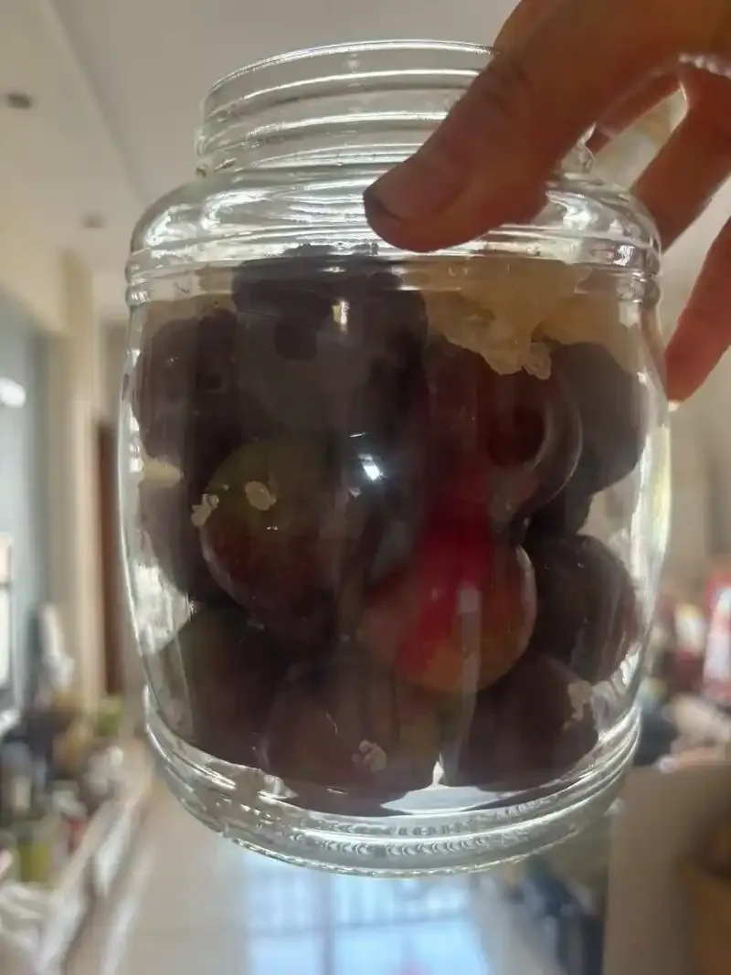 家庭自制李子泡酒过程特写：透明玻璃罐中浸泡着扎孔的李子与冰糖，酒液呈清澈的琥珀色_1