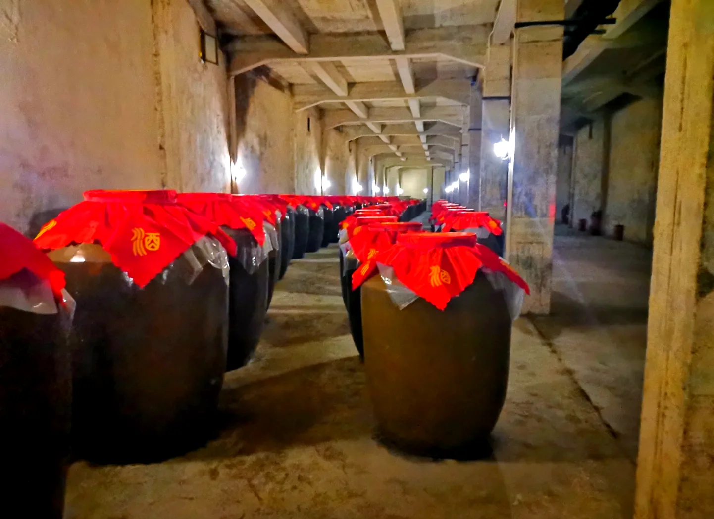 传统酒窖中摆放着多排用于储存粮食酒的褐色陶瓷酒坛，阳光洒下，氛围宁静专业，展现了老酒储存的经典场景。_1