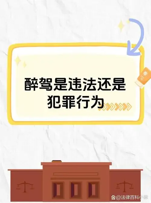 美酒与法律后果的警示对比图_1
