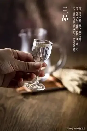 纯粮酱香白酒与串香酒的视觉对比图：展示酒体色泽、挂杯和质感差异_1
