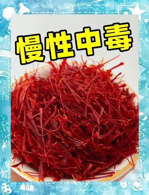 透明玻璃罐中琥珀色酒液浸泡着红花，旁边散落着干燥红花和称量工具，展示红花泡酒的制作现场。_1